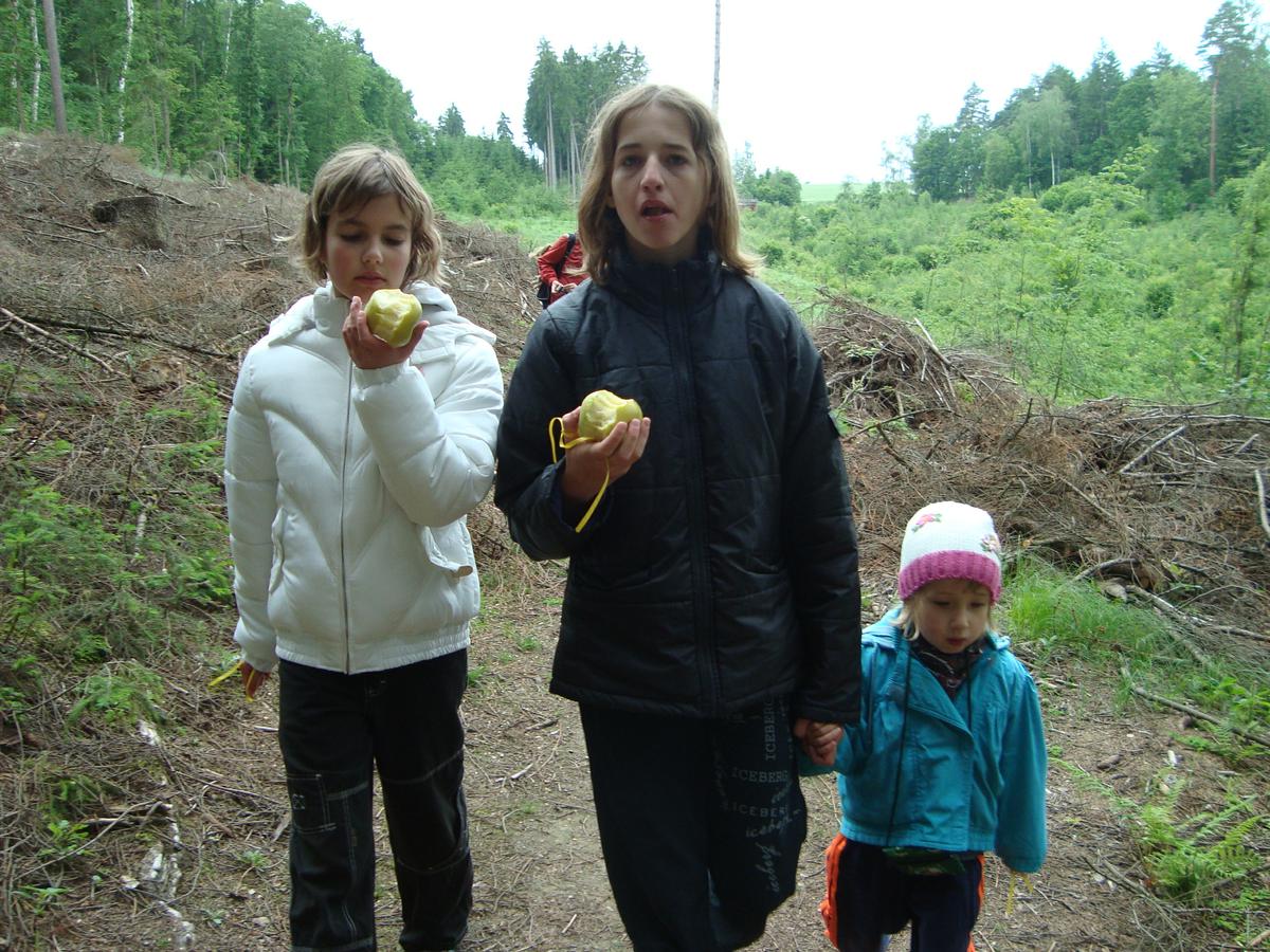 Mechule,Zachucha a Razkvička